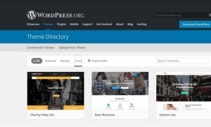 Woocommerce Themes