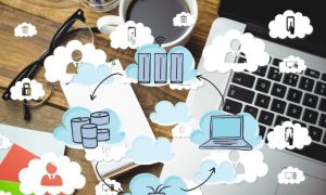 Website Backup