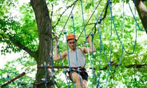 Zipline Tours