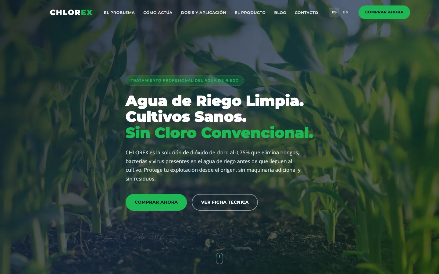 Página de inicio de Chlorex