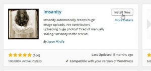 Imsanity