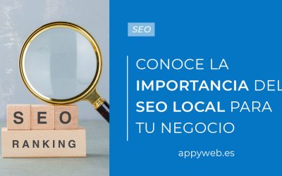 SEO LOCAL