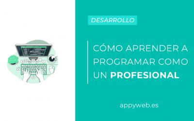 Descubre cómo ser un profesional en el área de la programación